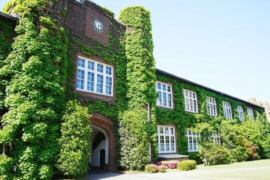 立教大学